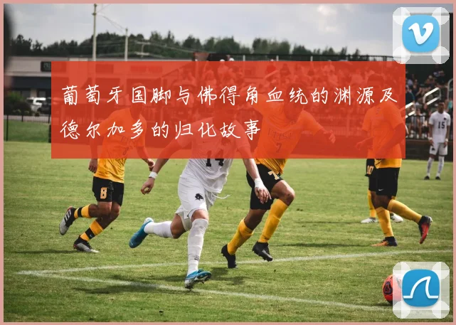 葡萄牙国脚与佛得角血统的渊源及德尔加多的归化故事